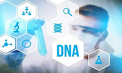 兴义能做DNA亲子鉴定吗，兴义亲子鉴定办理条件
