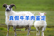 兴义羊类动物鉴定