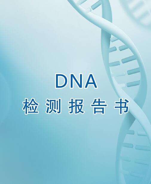 兴义亲子鉴定流程之出具报告